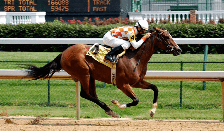 The Best Horse Racing Podcasts for Beginners