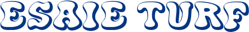 esaieturf